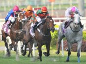 Super Easy (red cap) seen here at his 12th win in the Group 3 Jumbo Jet Trophy.<br>Photo by Singapore Turf Club